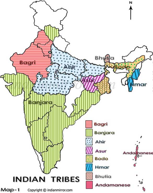 Centre refuses tribal status to Himachal's Trans-Giri area, Dodra Kwar :  The Tribune India