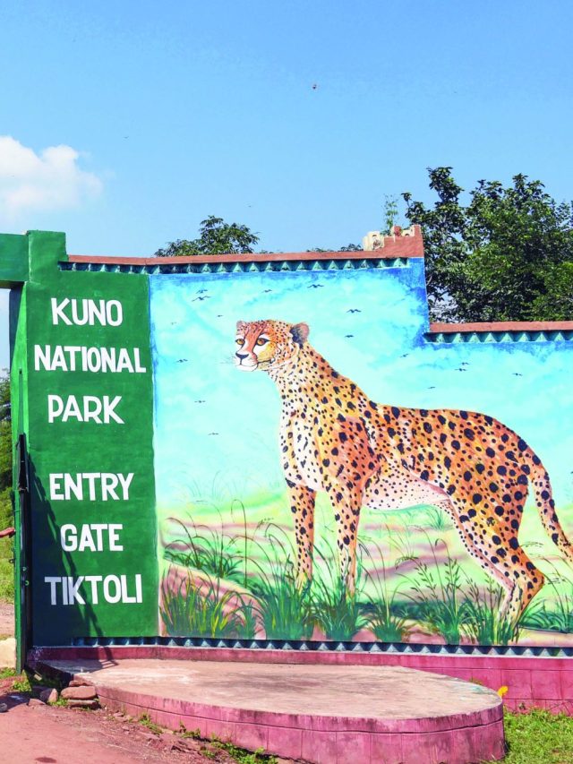 Discovering Kuno National Park