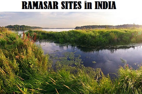 Ramsar Sites In India – List Of Total Ramsar Sites In India 2023